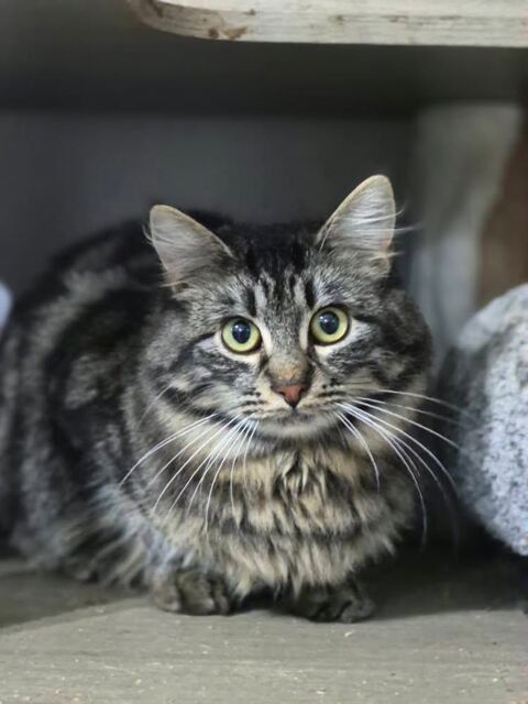 ACHILLE 210 60000 Beauvais