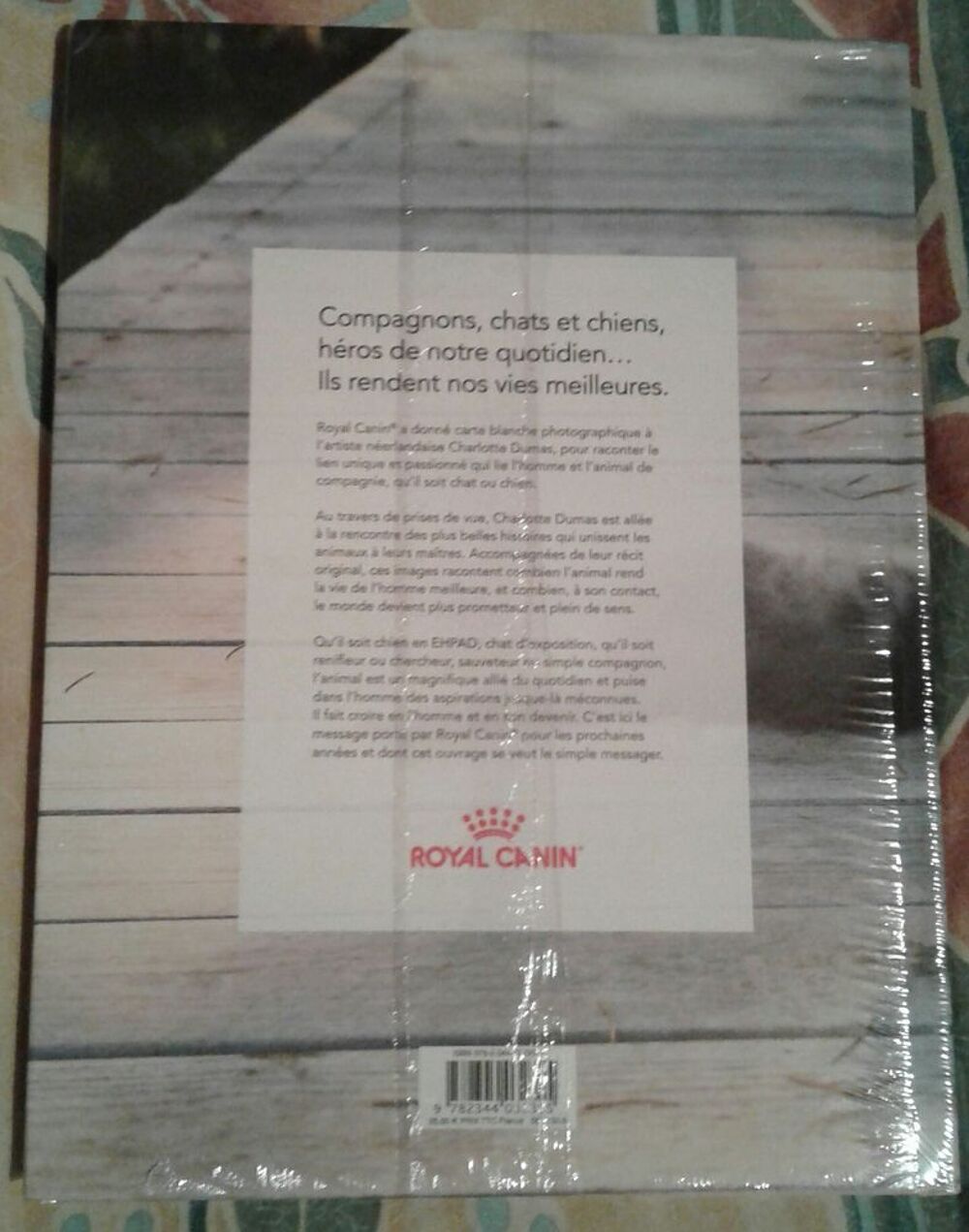 Livre Chats et chiens Compagnons 13 euros Livres et BD