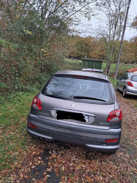 Peugeot 206 + 1.4e 75ch Trendy 2010 occasion Nevers 58000