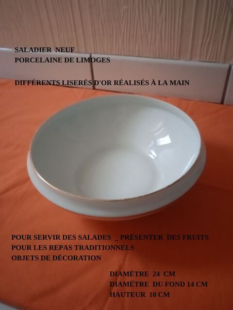 Saladier Neuf Porcelaine de Limoges  30 Lourdes (65)