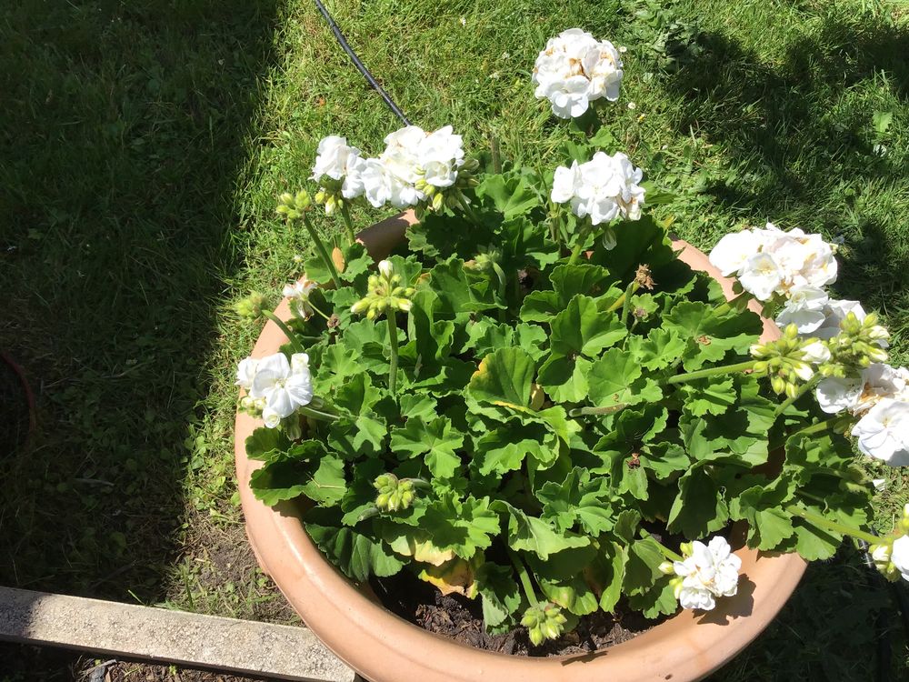   Je cherche pour m aider à déménager une personne dispo  