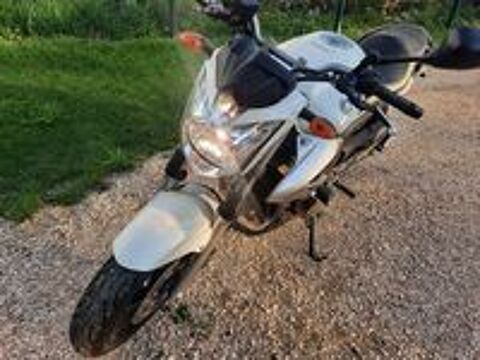 YAMAHA 2010 occasion 01110 Cormaranche-en-Bugey