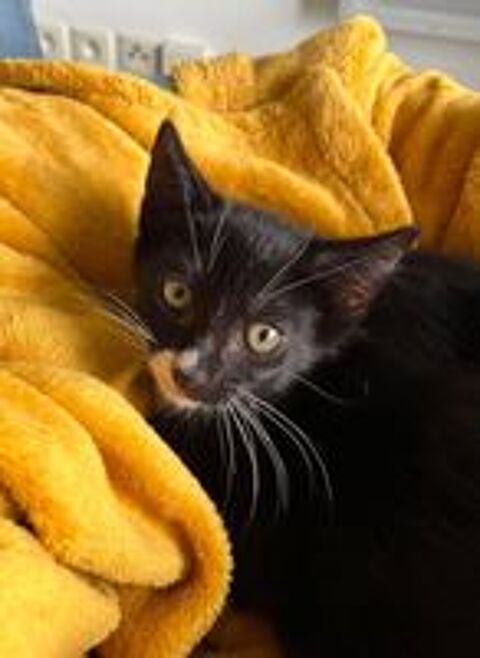   BINX 