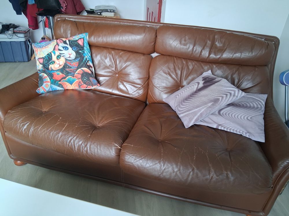 Fauteuil cuir marron salon tr&egrave;s chaleureux ! Meubles