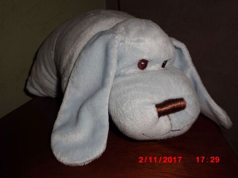 CHIEN COUSSIN BLEU OBAIDI 16 Oignies (62)