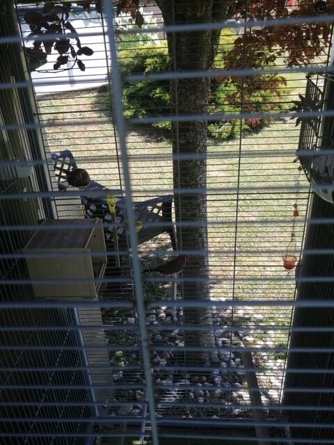 &Eacute;change 0 24310 Paussac-et-saint-vivien