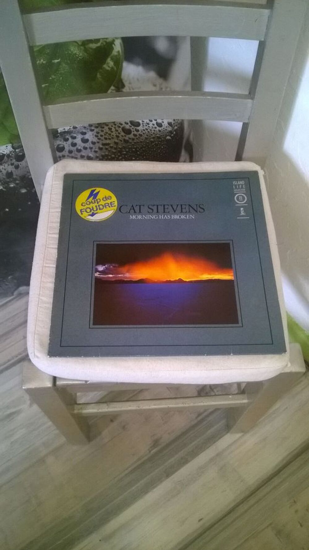 Vinyle Cat Stevens
Morning Has Broken
1981
Excellent etat CD et vinyles