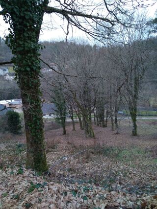  Terrain � vendre 1055 m� Laguenne