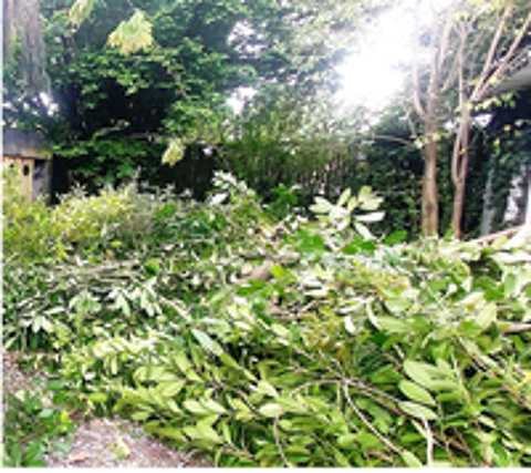   je recherche pour mon jardin une personne serieuse   
