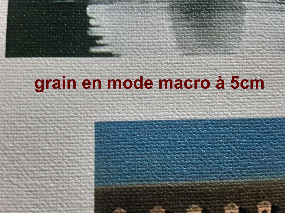 PAPIER PHOTO TOIL&Eacute; " ART CANVAS " (aspect toile de peintre) Photos/Video/TV