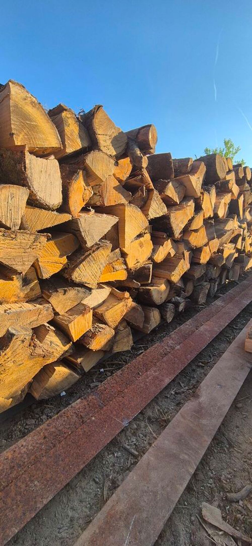 bois de chauffage Jardin