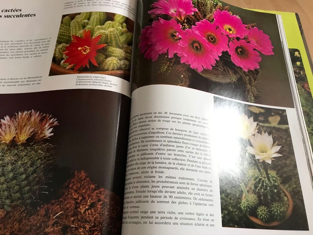 PLANTES D INTERIEUR Lovell Benjamin Cuisine