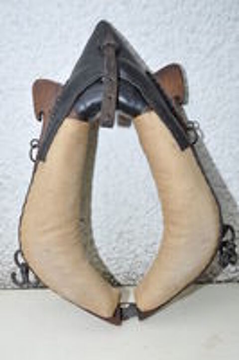   Collier de cheval 