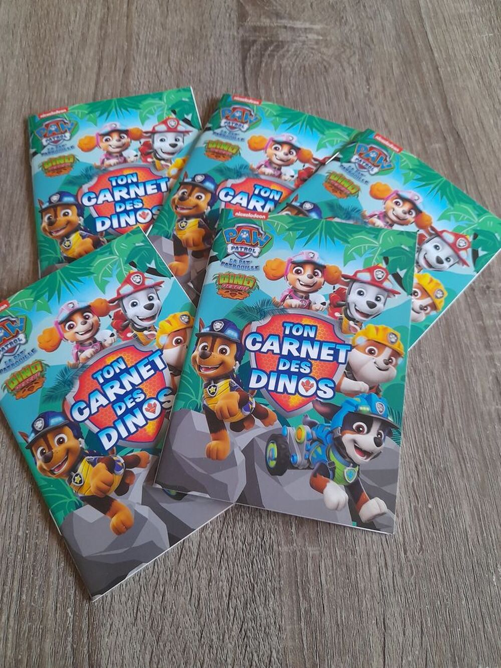Ton carnet des Dinos Livres et BD