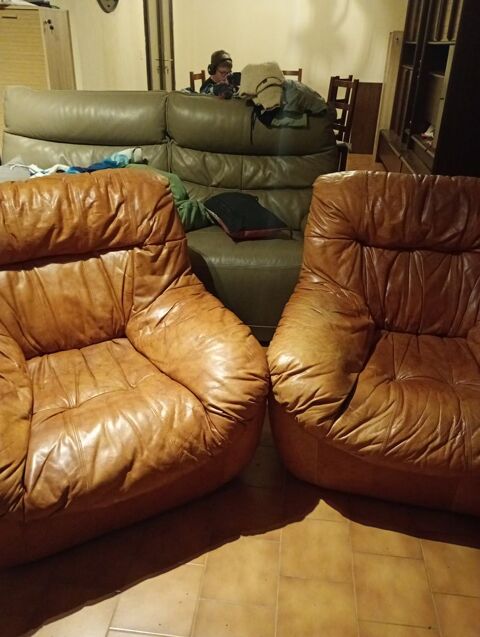 Canap plus 2 fauteuils 1000 Jonquires (84)