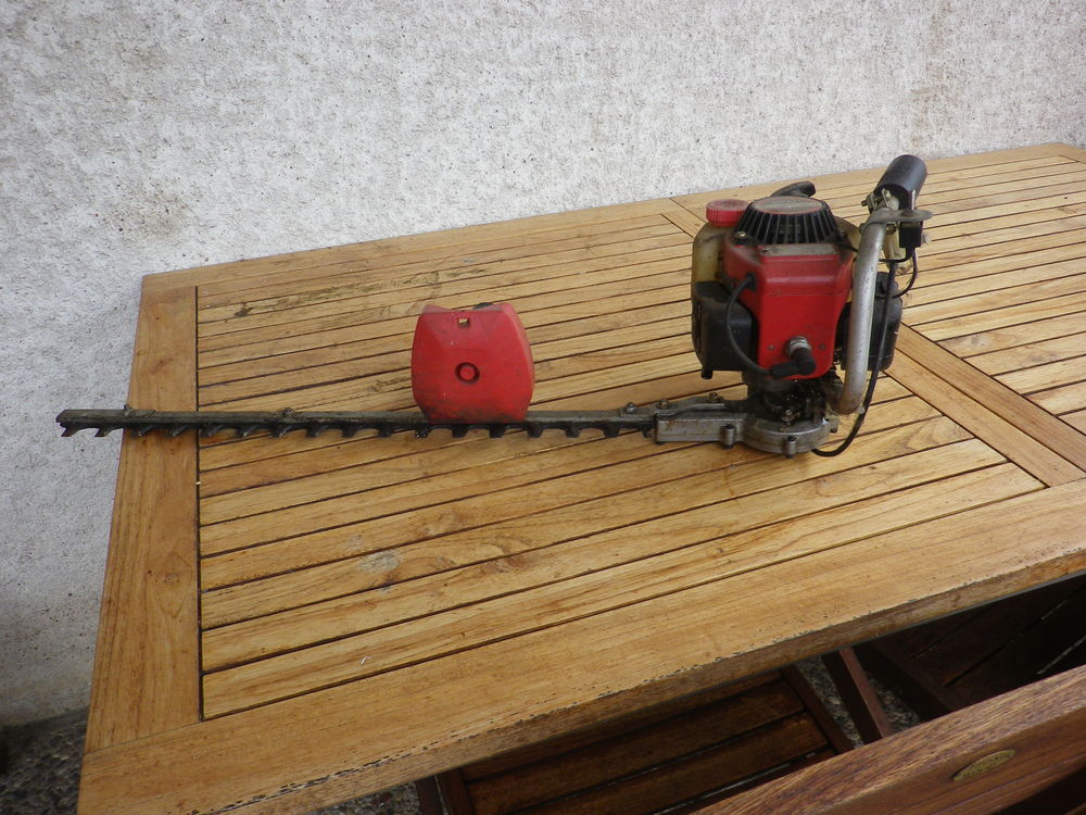Taille haies thermique Bricolage
