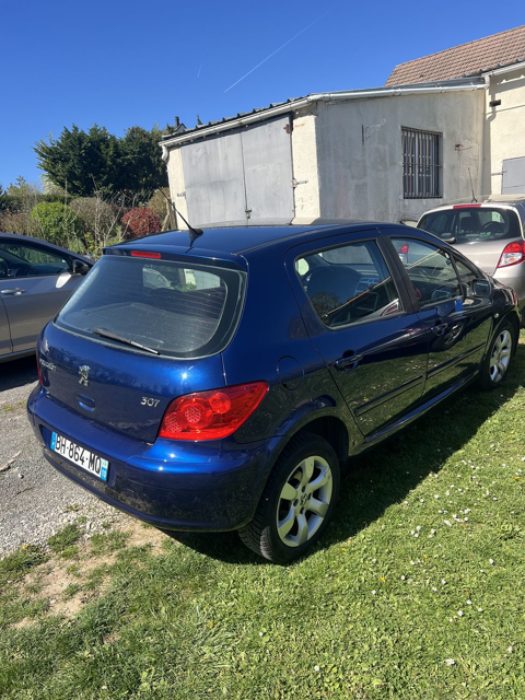 Peugeot 307 1.6e 16V Sport 2006 occasion Cr&eacute;py-en-Valois 60800