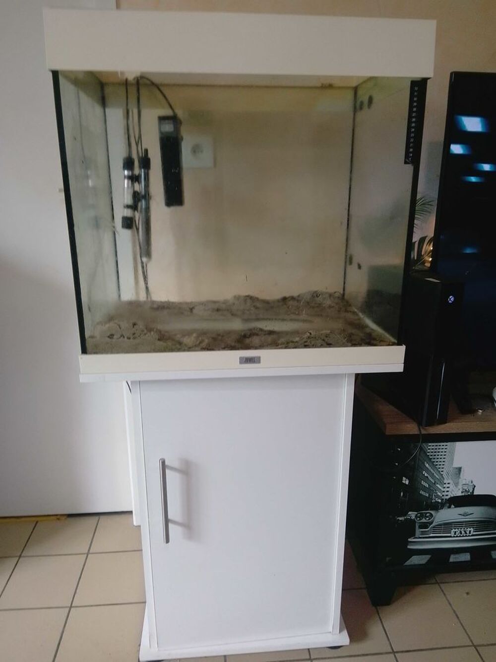 aquarium 100 l Décoration