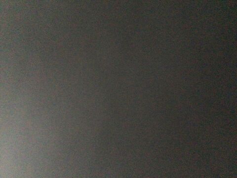 Je cherche &agrave; acheter un chien de petite taille  500 33600 Pessac