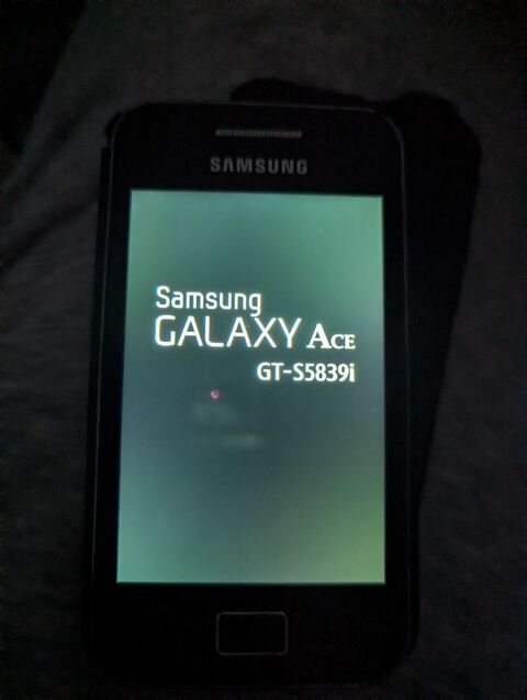 Samsung+Galaxy+ACE 25 La Seyne-sur-Mer (83)
