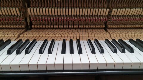 COURS DE PIANO PARTICULIERS ET FORMATION MUSICALE 0 94120 Fontenay-sous-bois