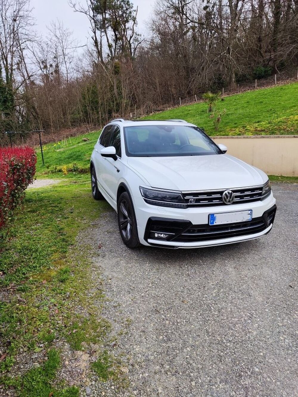 Tiguan 2.0 Bi-TDI 240 BMT DSG7 4Motion Carat Exclusive 2017 occasion 12110 Aubin