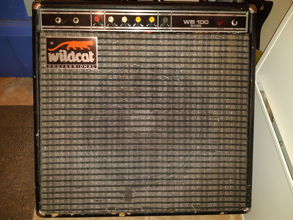 ANCIEN AMPLI POUR GUITARES BASSE Instruments de musique