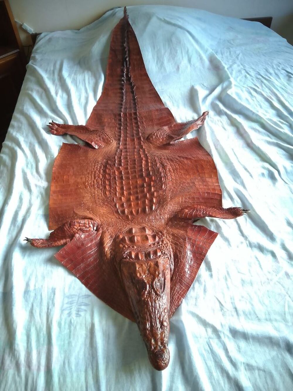 Peau de crocodile unique collector Maroquinerie