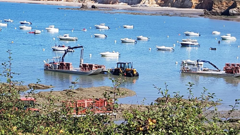   maison de vacances Bretagne, Pénestin (56760)