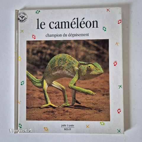 Caméléon acrobate multicolore et champion du déguisement 3 Saumur (49)