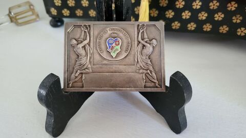 Plaque Bronze argent   Offert par la Ville d'Alger   0 Provins (77)