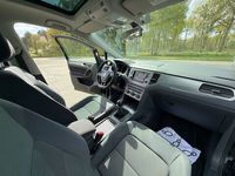 Golf Sportsvan 1.6 TDI 110 FAP BlueMotion Technology Trendline Business 2014 occasion 65800 Aureilhan