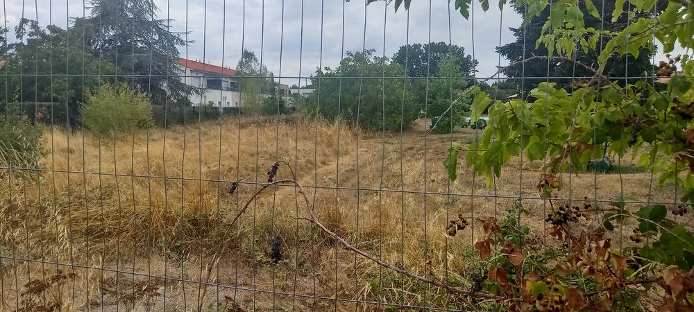 Vente Terrain TOULOUSE - SAINT SIMON - Terrain constructible Toulouse