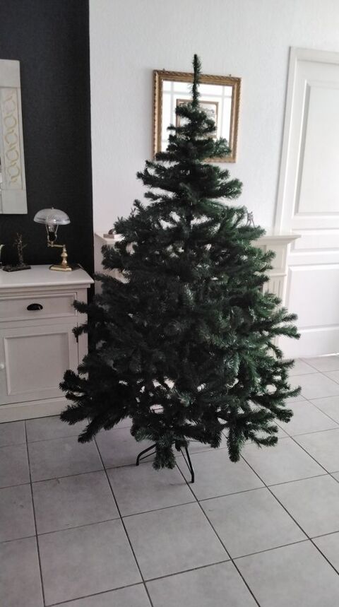 Sapin noel 40 Agde (34)