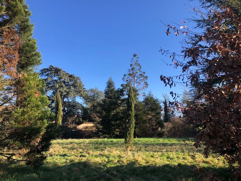Vente Terrain RARE PRES FEURS GRANDES PARCELLES VIABILISEES et ARBOREES Pouilly-lès-feurs