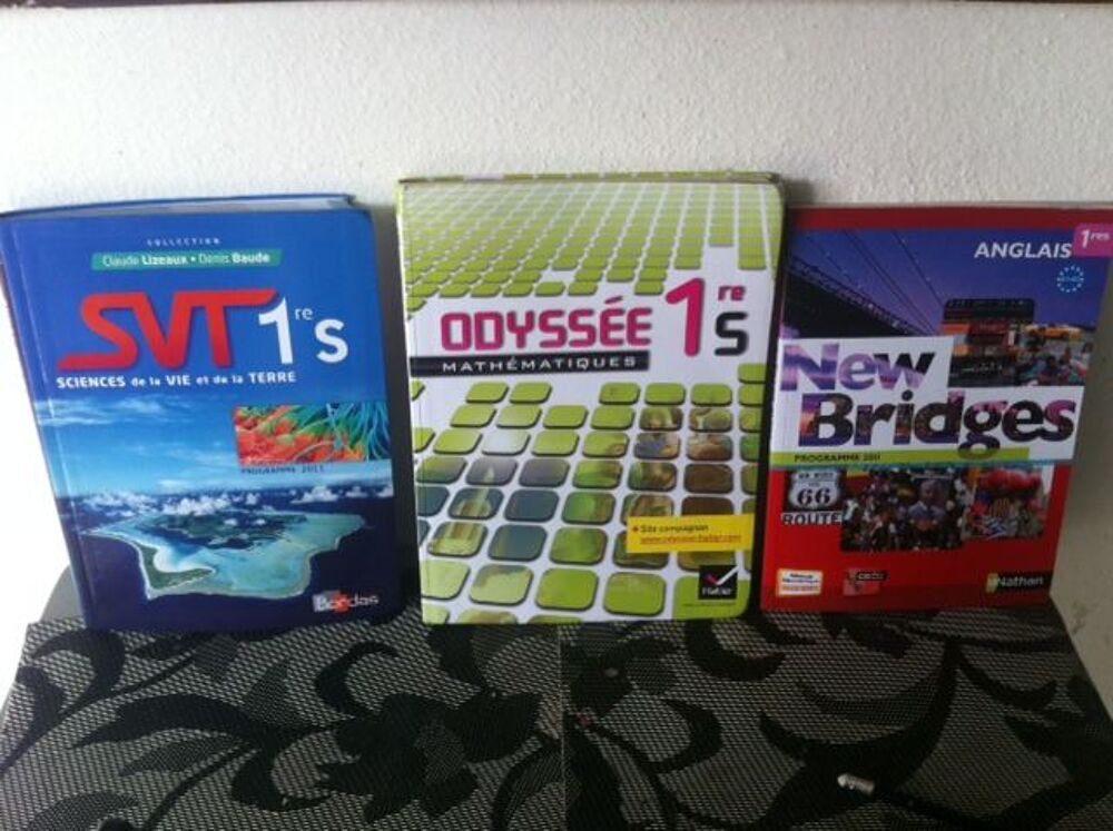 Lot 8 livres scolaires 1 S Livres et BD
