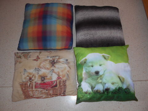 coussins 2 �chenoz-la-M�line (70)