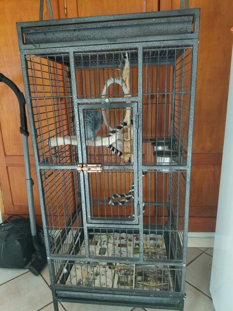 Cage pour perroquet 150 74540 Viuz-la-chi�saz