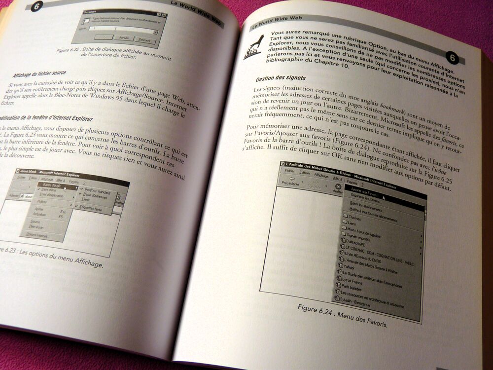 Livre Bible informatique manuel scolaire ordinateur - intern Livres et BD