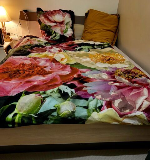 LIT 140*200 0 Saint-Cyr-au-Mont-d'Or (69)