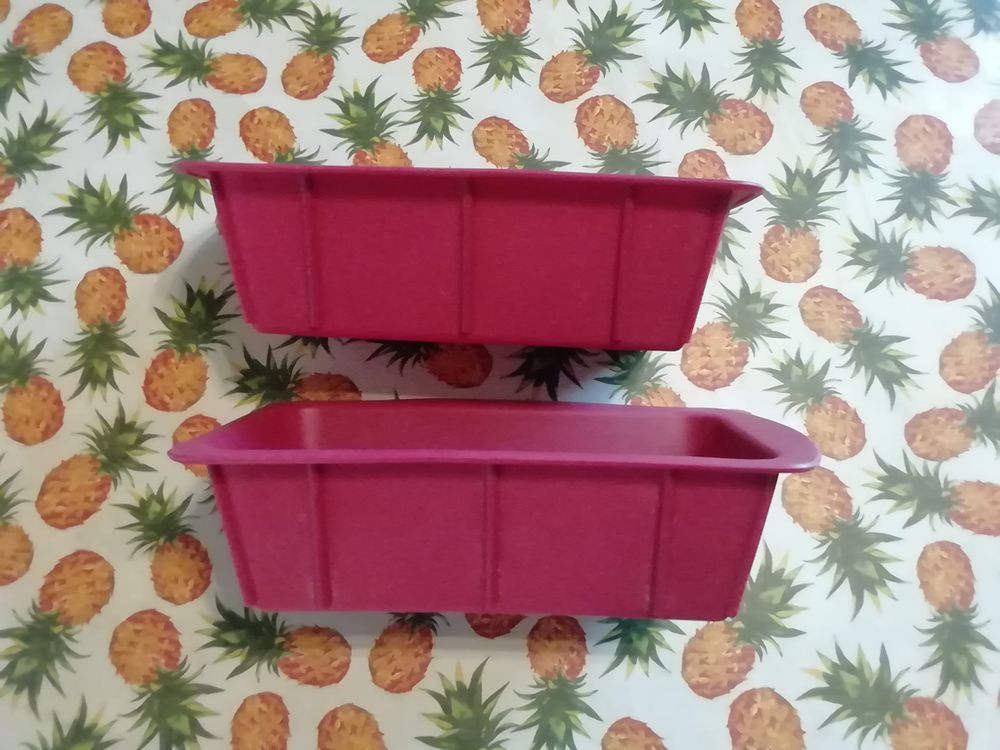 2 barquettes neuves en silicone pour p&acirc;tisserie Cuisine