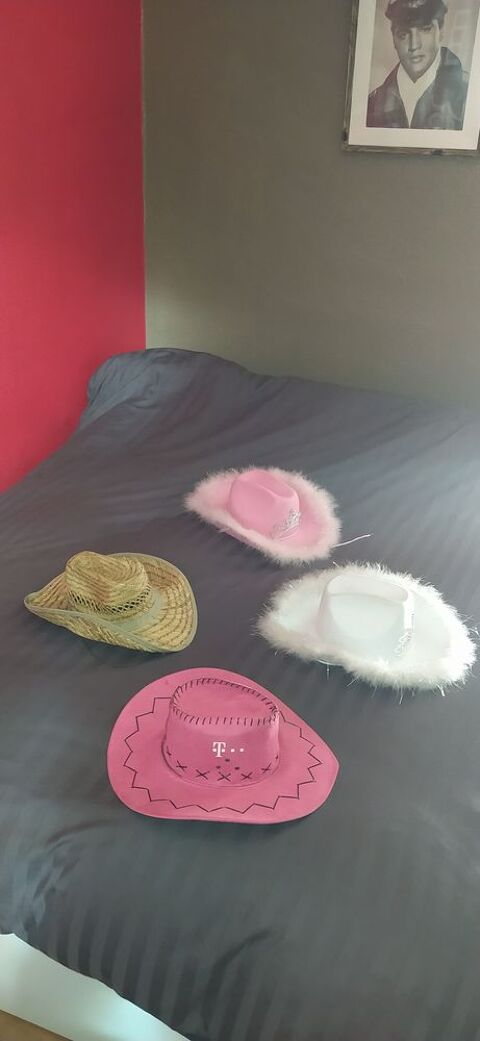 chapeaux country 9 Tourette-du-Ch�teau (06)