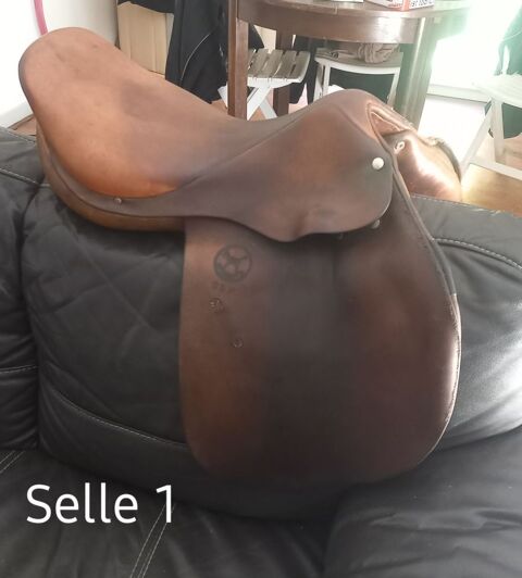 Selle mixte 0 67520 Marlenheim