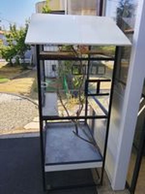   Cage  