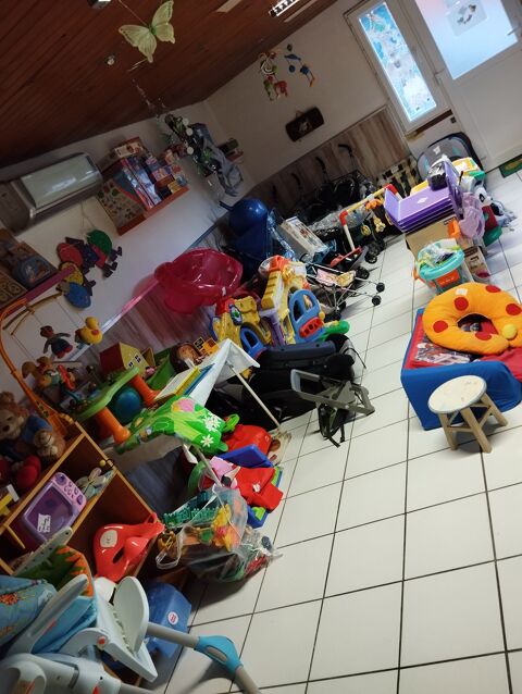 Vide maison 1 Flourens (31)