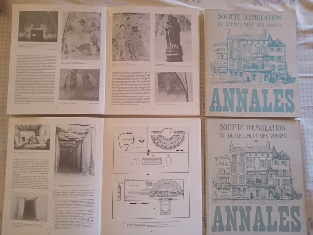 Annales de la Soci&eacute;t&eacute; d"&eacute;mulation du D&eacute;partement des Vosges Livres et BD