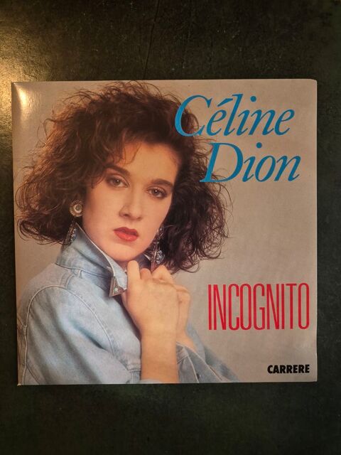 lot entier Vinyles 45T et 33T (550 vinyles en tout) Saint-Nom-la-Bretèche (78)