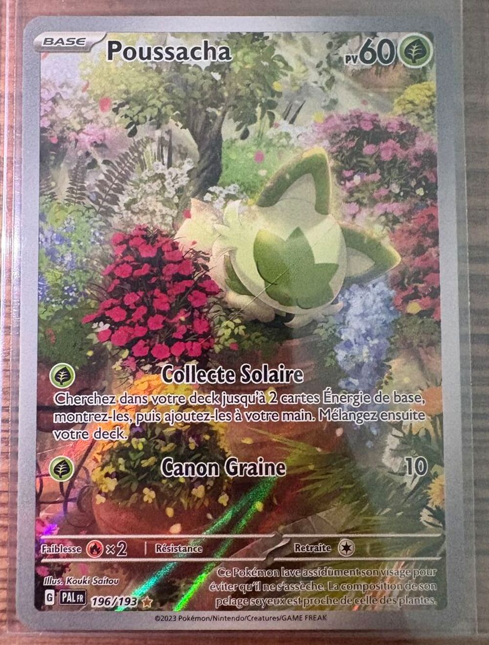lot carte Pok&eacute;mon 