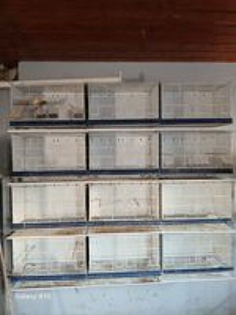   Cède Cages elev.Volières. rack d elevage et ses accessoires. 
