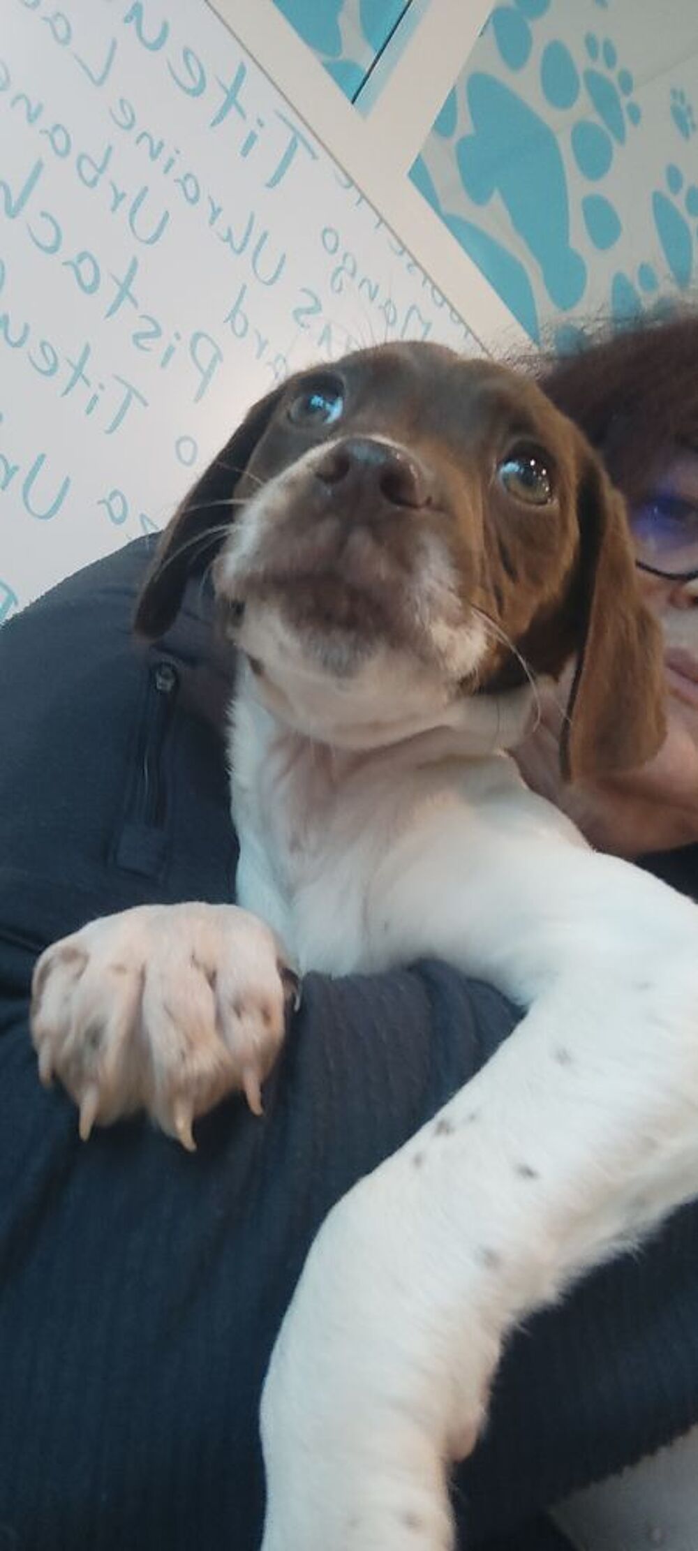   Bella 